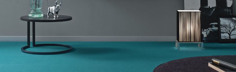 vorwerk passion 816